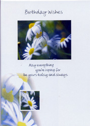 Birthday Card 100
