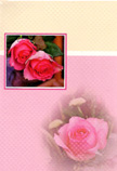 blank card 1244