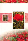 blank card 1245