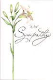 symphathy card 1397