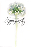 symphathy card 1398