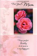 birthday card 1569