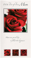 birthday card 1576
