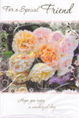 Friend Birthday Cards1751