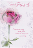 Friend Birthday Cards1754
