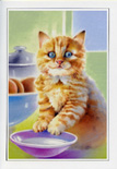 birthday card 698