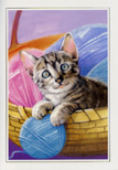 birthday card 699