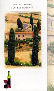 Birthday Husband Card-