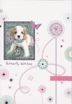 Birthday Cats Dogs Pets Card-