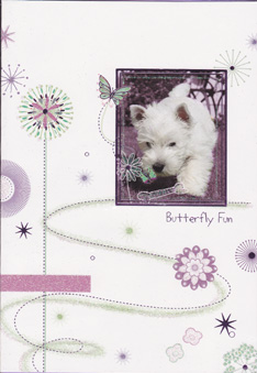 Birthday Cats Dogs Pets Card-