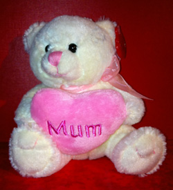 Mothers Day Mum Mother Card-