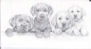 Birthday Cats Dogs Pets Card-