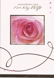 Anniversary Wife Wife Card-
