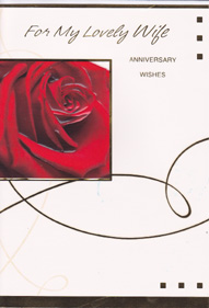 Anniversary Wife Wife Card-