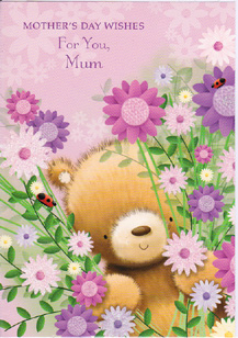 Mothers Day Mum Mother Card-