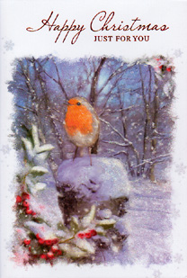 Christmas  Open Card-