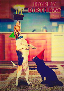 Birthday Cats Dogs Pets Card-