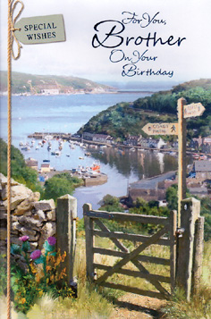 Birthday Brother Card-