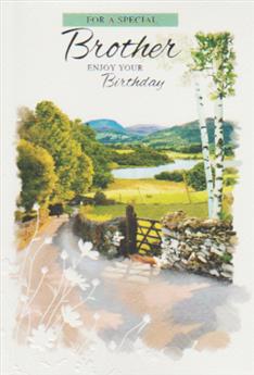Birthday Brother Card-