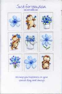 Mothers Day Nan GrandMa Card-