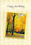 birthday card 1617