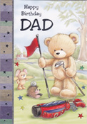 birthday card 2141