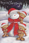 christmas  card 3050