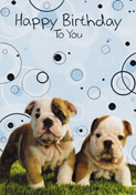 birthday card 3112