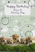 birthday card 3113