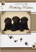 birthday card 3114