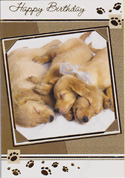birthday card 3115