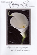 symphathy card 3180