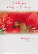 birthday card 3324