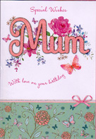 birthday card 3347
