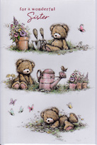 birthday card 3363